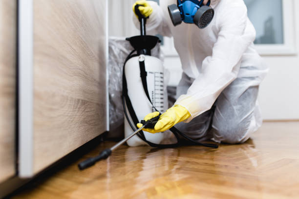Best Residential Pest Control  in Dover, OH