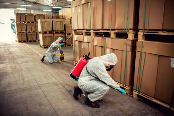 Best Affordable Pest Control Services  in Dover, OH