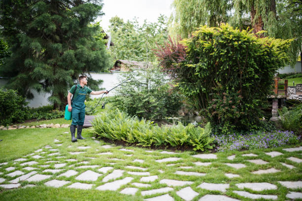 Professional Pest Control in Dover, OH