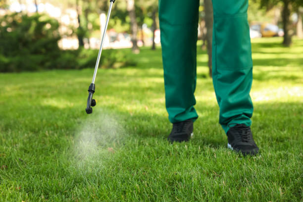 Best Pest Removal Services  in Dover, OH