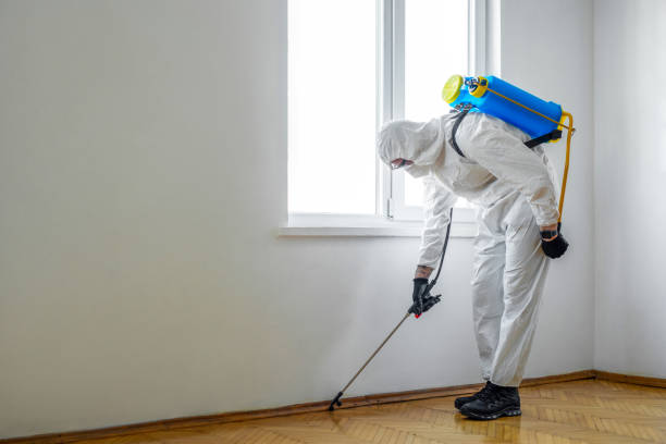 Best Emergency Pest Control  in Dover, OH