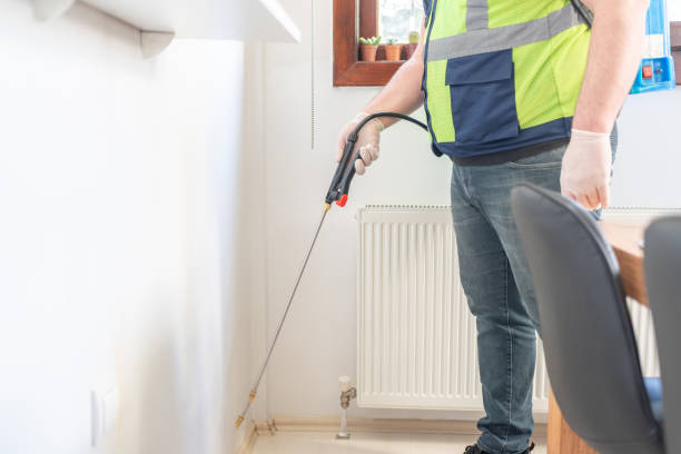 Best Local Pest Control Services  in Dover, OH