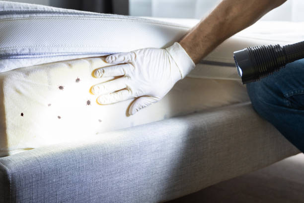 Best Wildlife Control Services  in Dover, OH