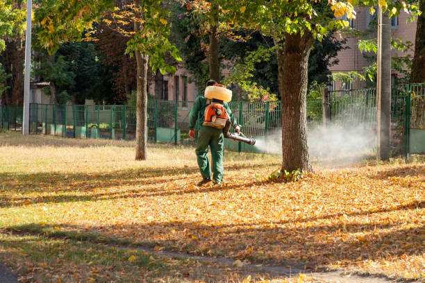 Pest Control for Restaurants in Dover, OH