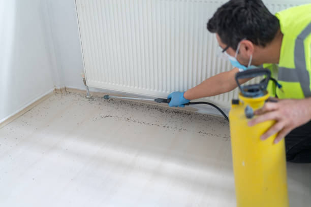 Best Commercial Pest Control Services  in Dover, OH